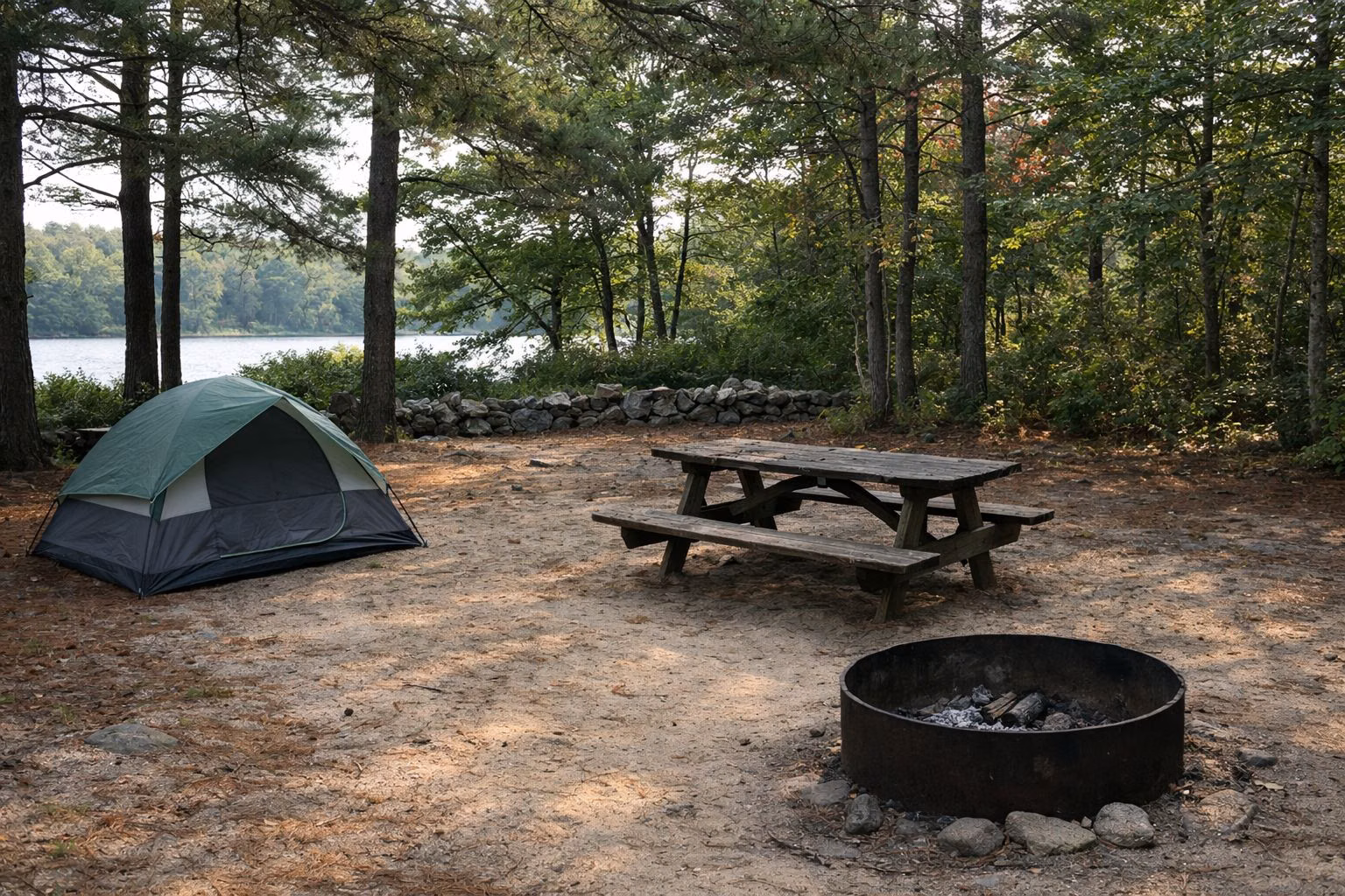 Wooded tent campsite with a picnic table and fire ring