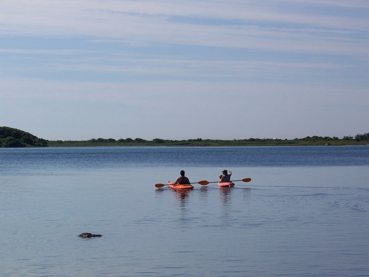 Two kayakers paddling on Ninigret Pond